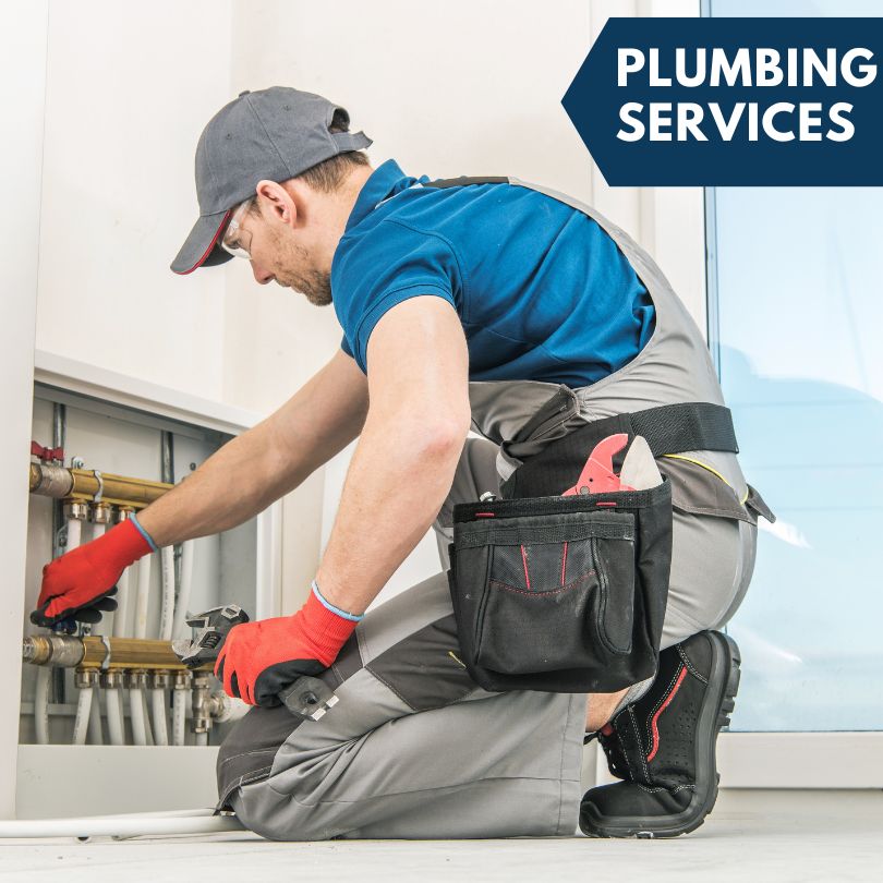Dry Prong Plumbing Company